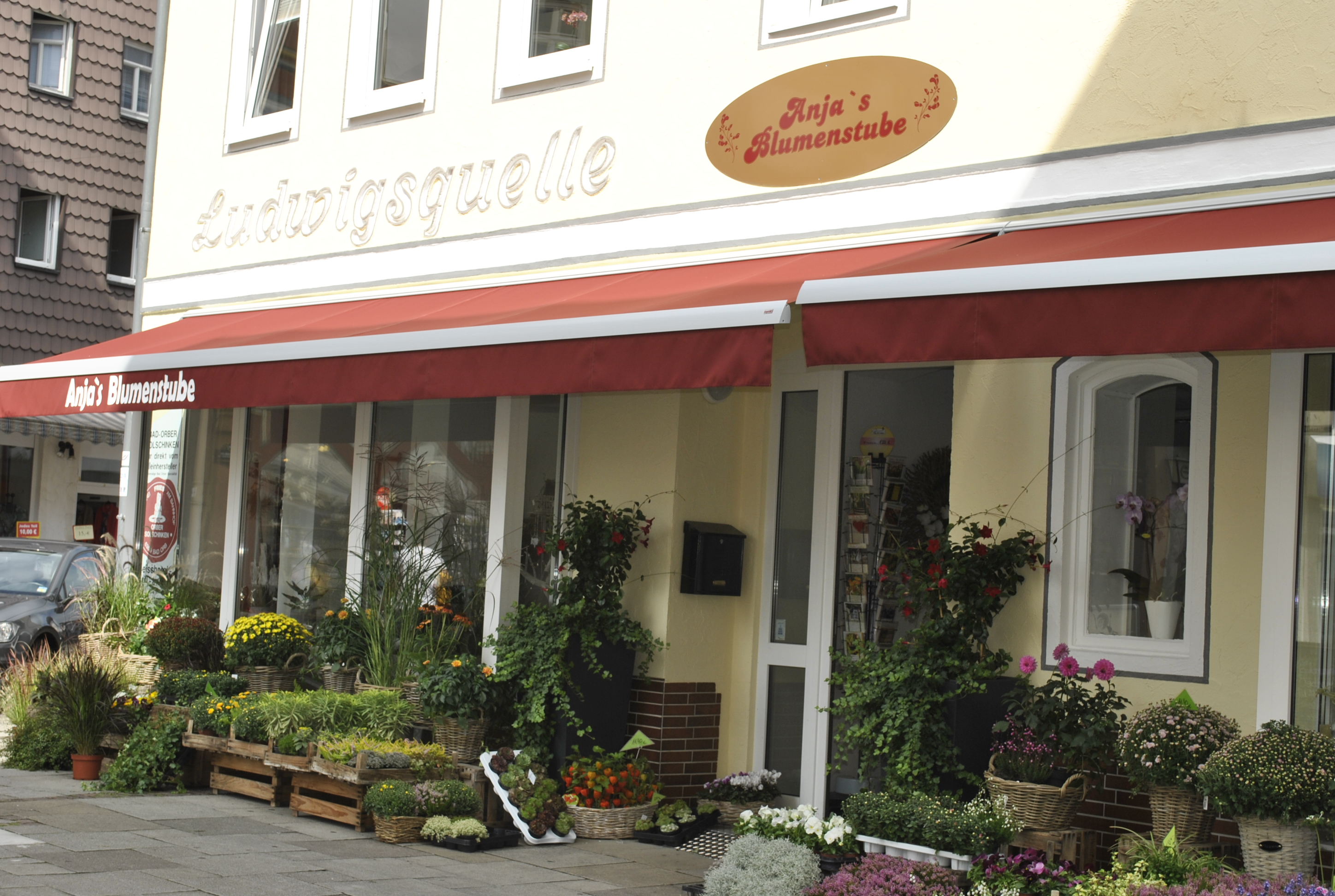 Herbstpflanzen Anjas Blumenstube
