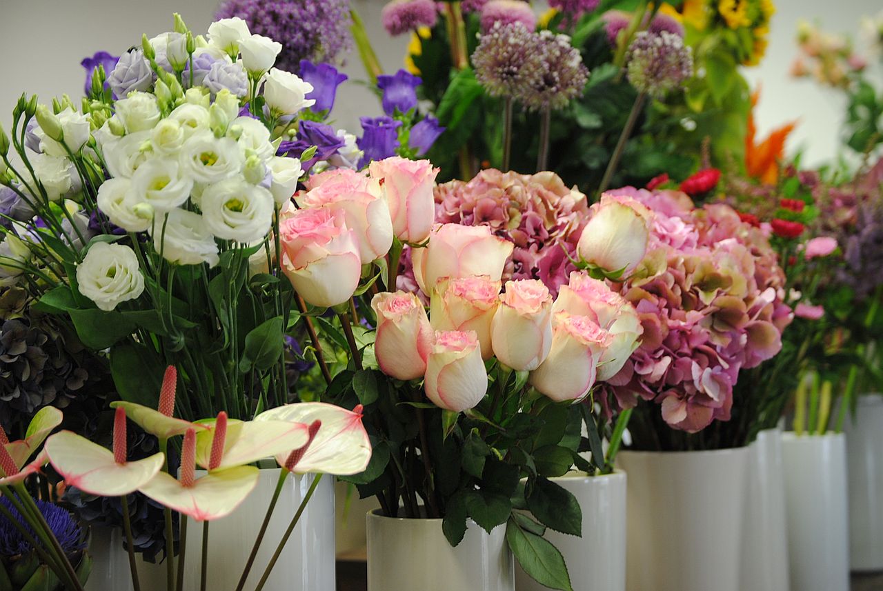 Frische Schnittblumen